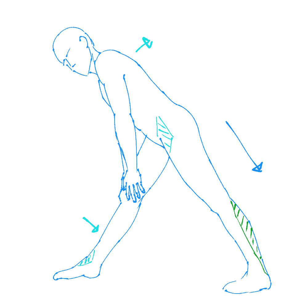 standing, one leg forward, and one leg back, leaning with back flat over the front leg, stretching the back leg